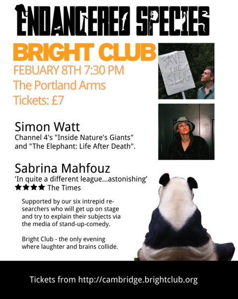 Bright Club - Feb 2013.png